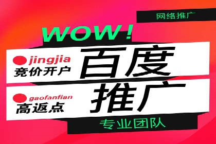 SEM广告投放策略：成功案例解析